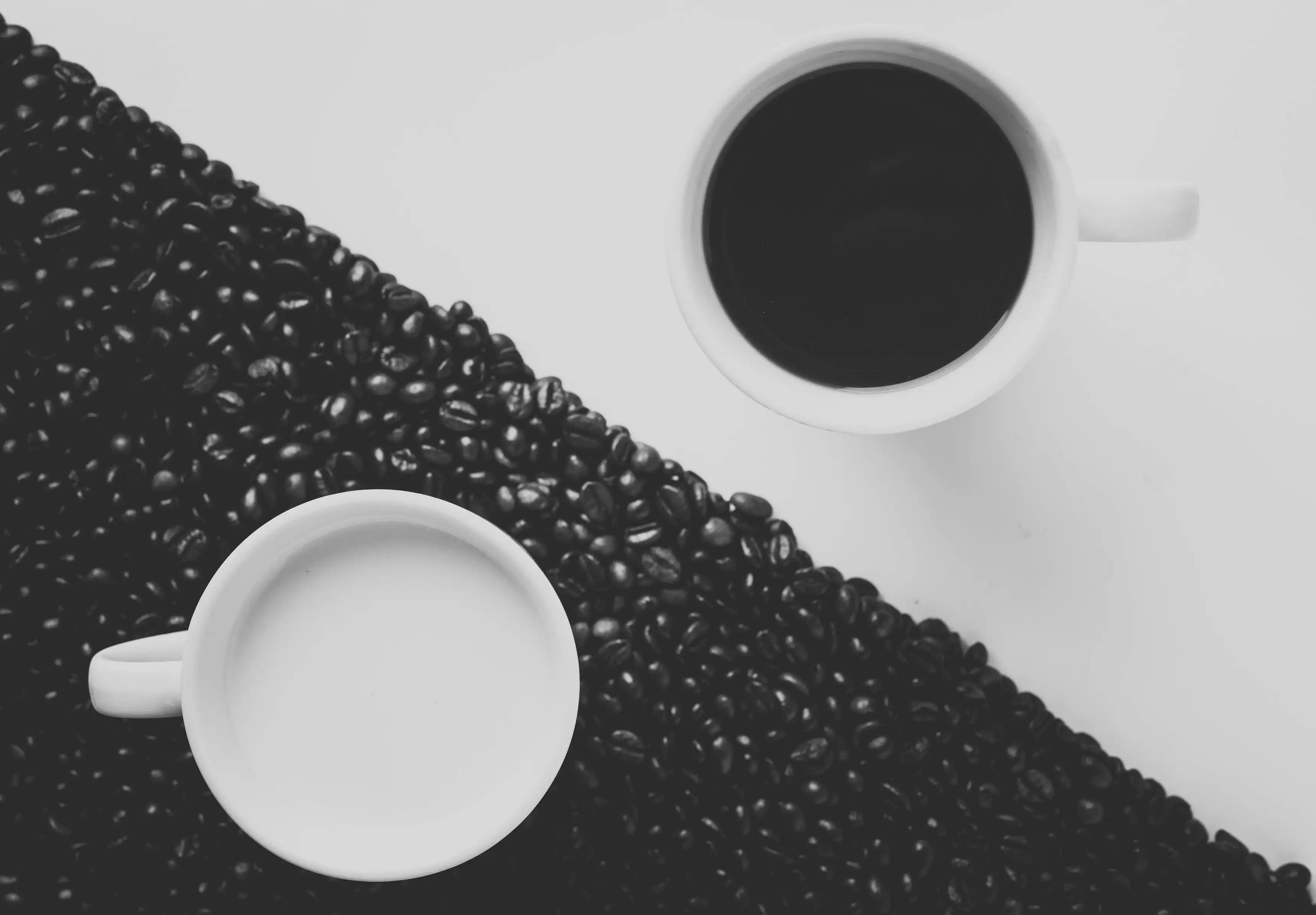 Yin and yang symbol representing duality